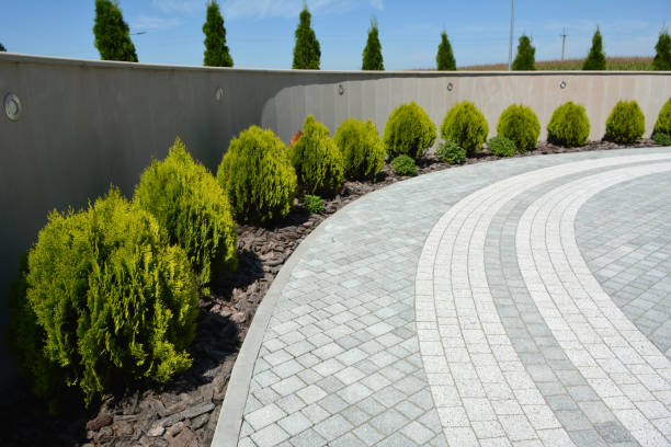 Best Custom Driveway Pavers  in Bear Rocks, PA